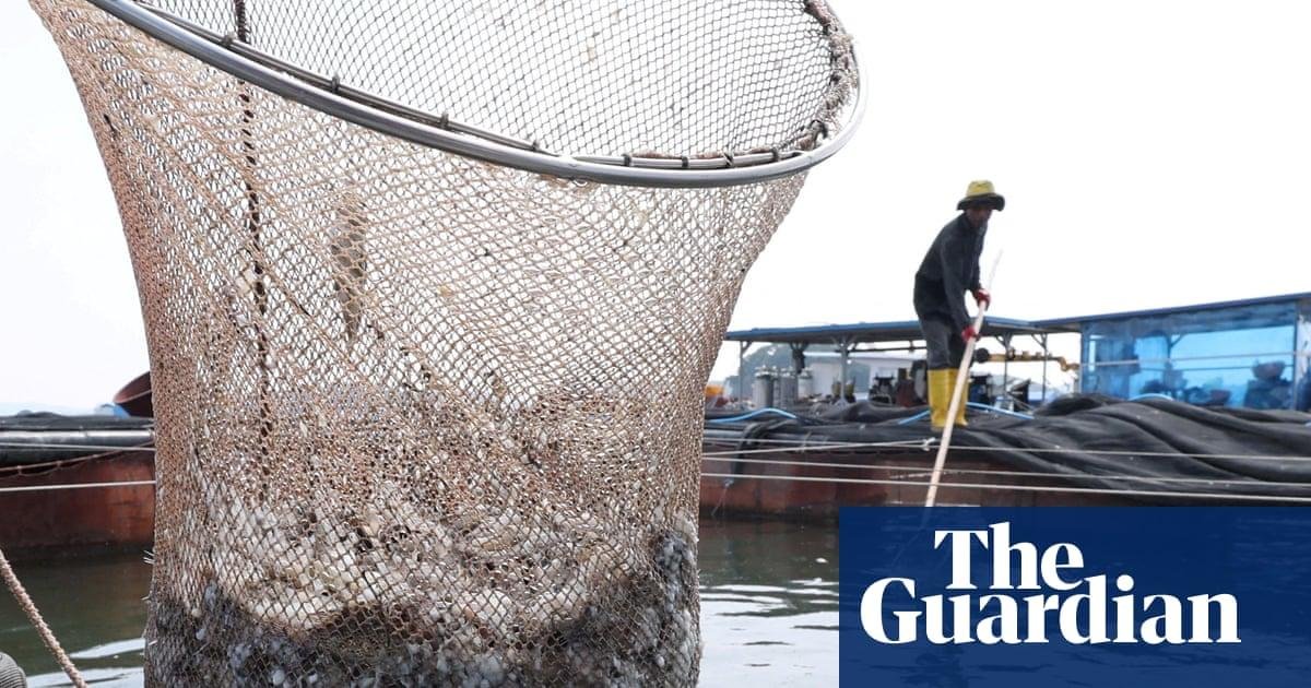 Grinding up fish to feed to fi...