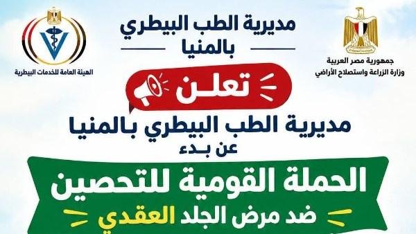 غدا.. انطلاق الحملة القومية البيطرية الثانية للتحصين ضد الجلد العقدي بالمنيا