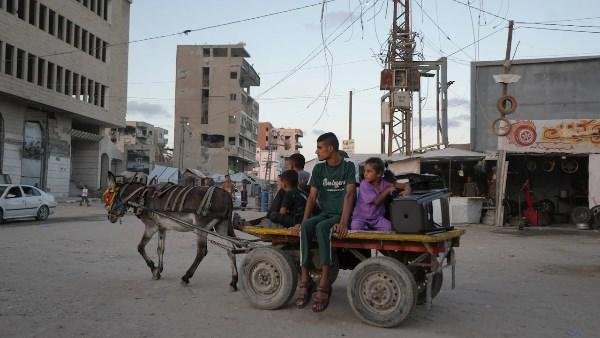 ارتفاع جنوني لأسعار الحمير في غزة .. من 1000 دولار إلى 30 ألفاً