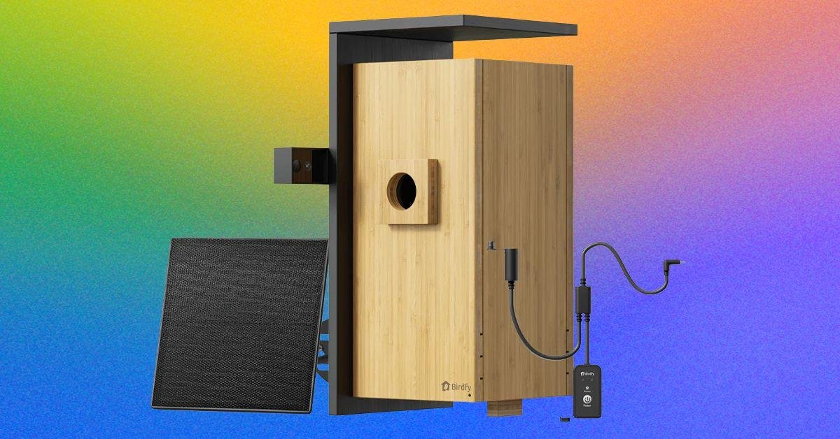 Birdfy Nest Duo Review: My Own...