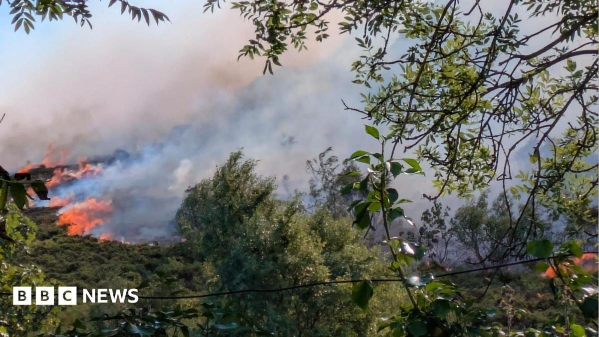 Summer wildfires caused catast...