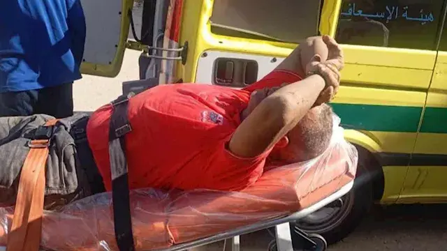 كلب ضال يعقر مواطنًا في حي فيصل بالسويس