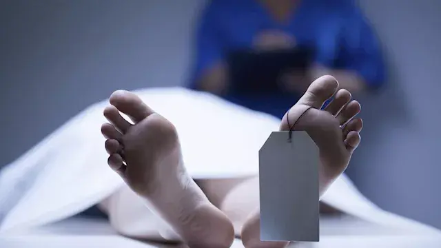 مصرع مبيض محارة سقط من الطابق...