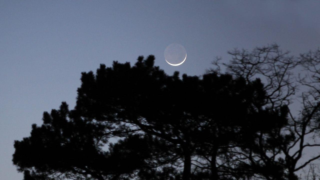 The moon will hide Jupiter in...