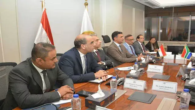 وزير الصناعة يبحث مع نظيره الجنوب إفريقي سبل تحقيق التكامل الصناعي بين البلدين