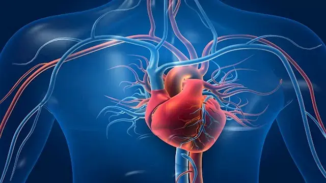 لماذا تتزايد مشكلات القلب لدى...