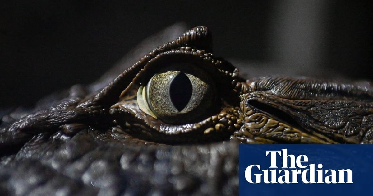 Week in wildlife: a Cornish wa...