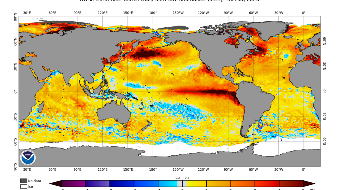 El Niño is now stronger than a...