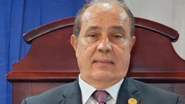 نظر محاكمة 115 متهمًا في قضية خلية المجموعات المسلحة.. اليوم