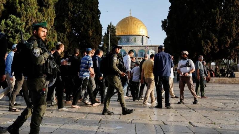 مصادر فلسطينية: 800 مستعمر يقت...