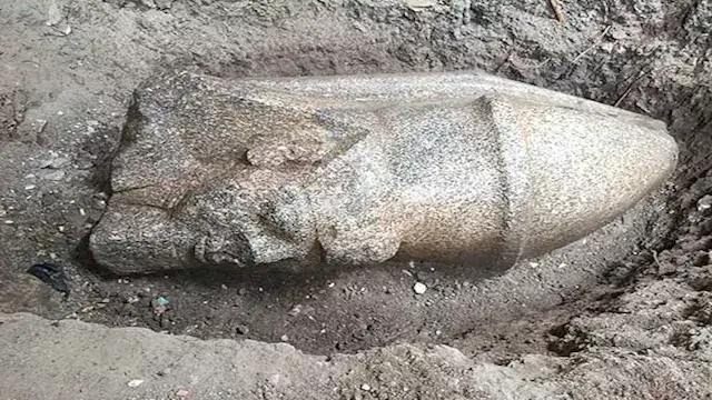 الكشف عن رأس تمثال لرمسيس الثاني وقطع أثرية نادرة في الغربية - صور