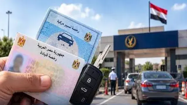 نشرة التوك شو| تخفيضات جديدة لتراخيص السيارات.. وسبب انتشار الثعابين بحقول الأرز