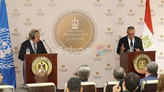 وزير الخارجية: مصر تتحرك لمنع مواجهة عسكرية واسعة