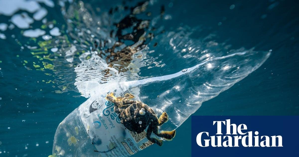 1.3m plastic bottles collected...