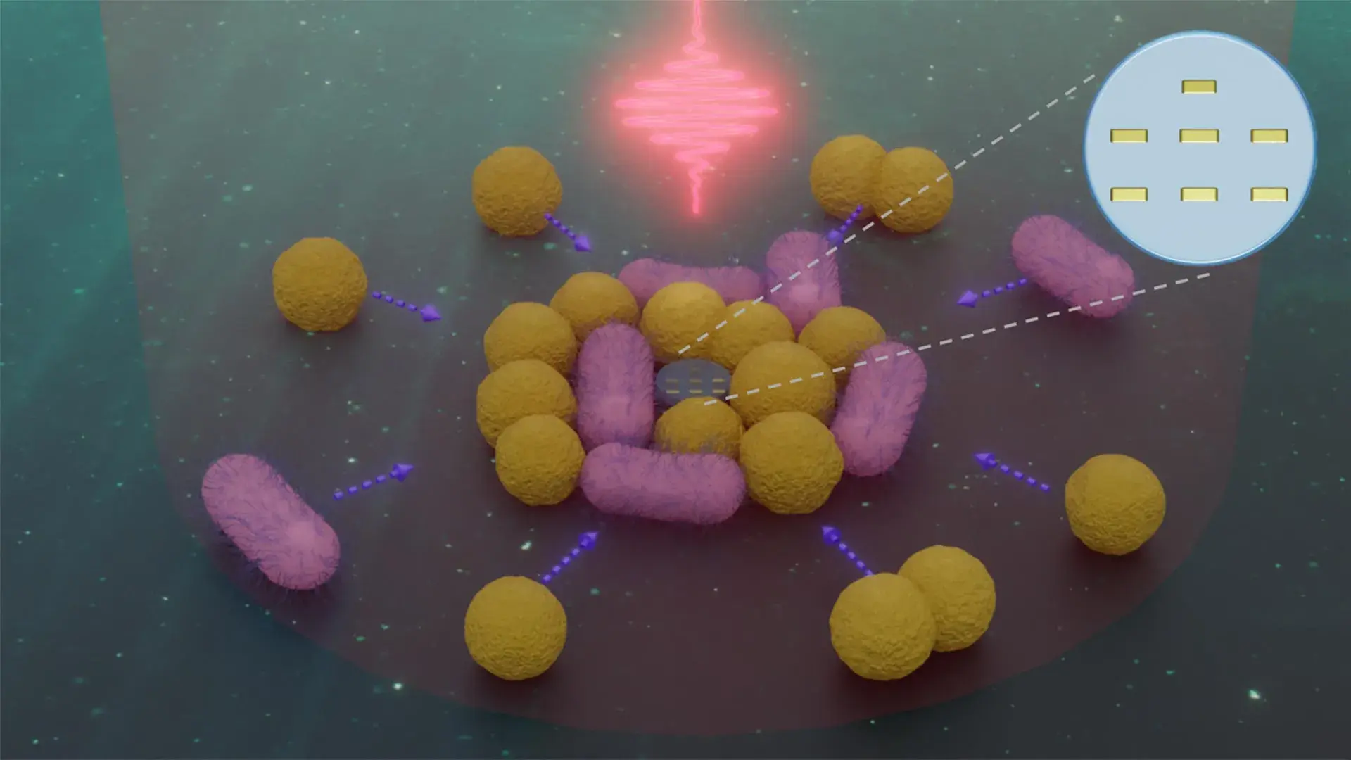 Tiny robots powered by light c...