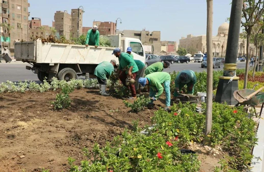 خطة تخضير القاهرة الكبرى.. ما بين التوسع في زراعة الأشجار وتحديات الاستدامة