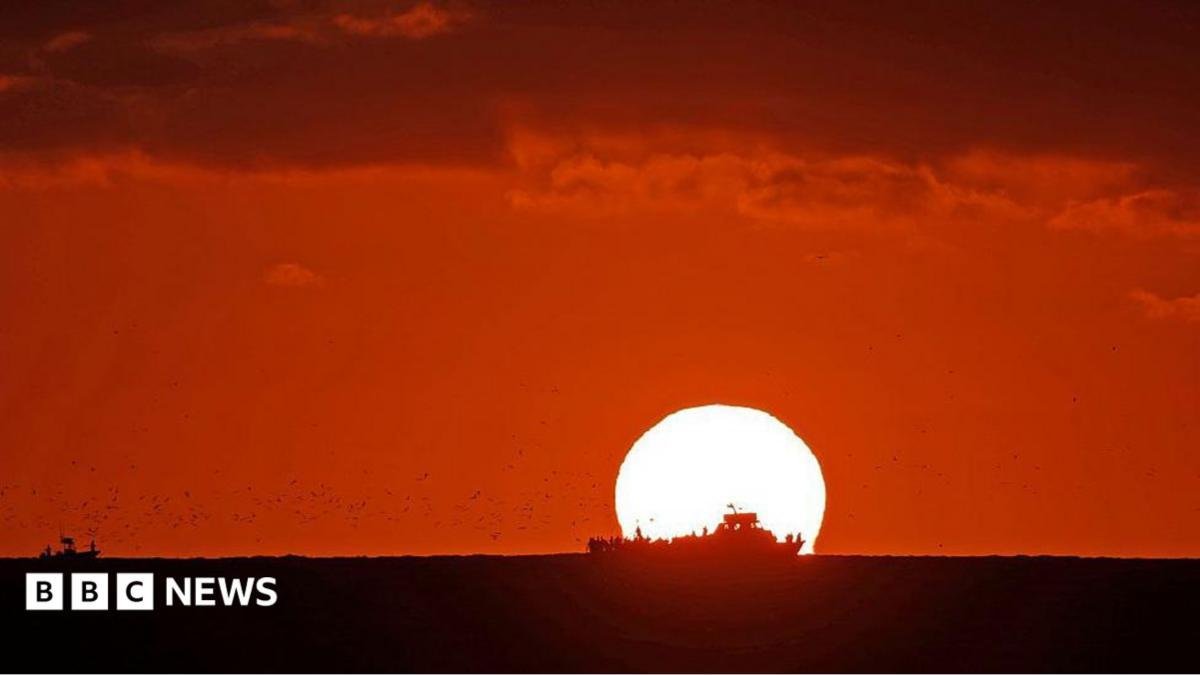 World's oceans hit highest tem...