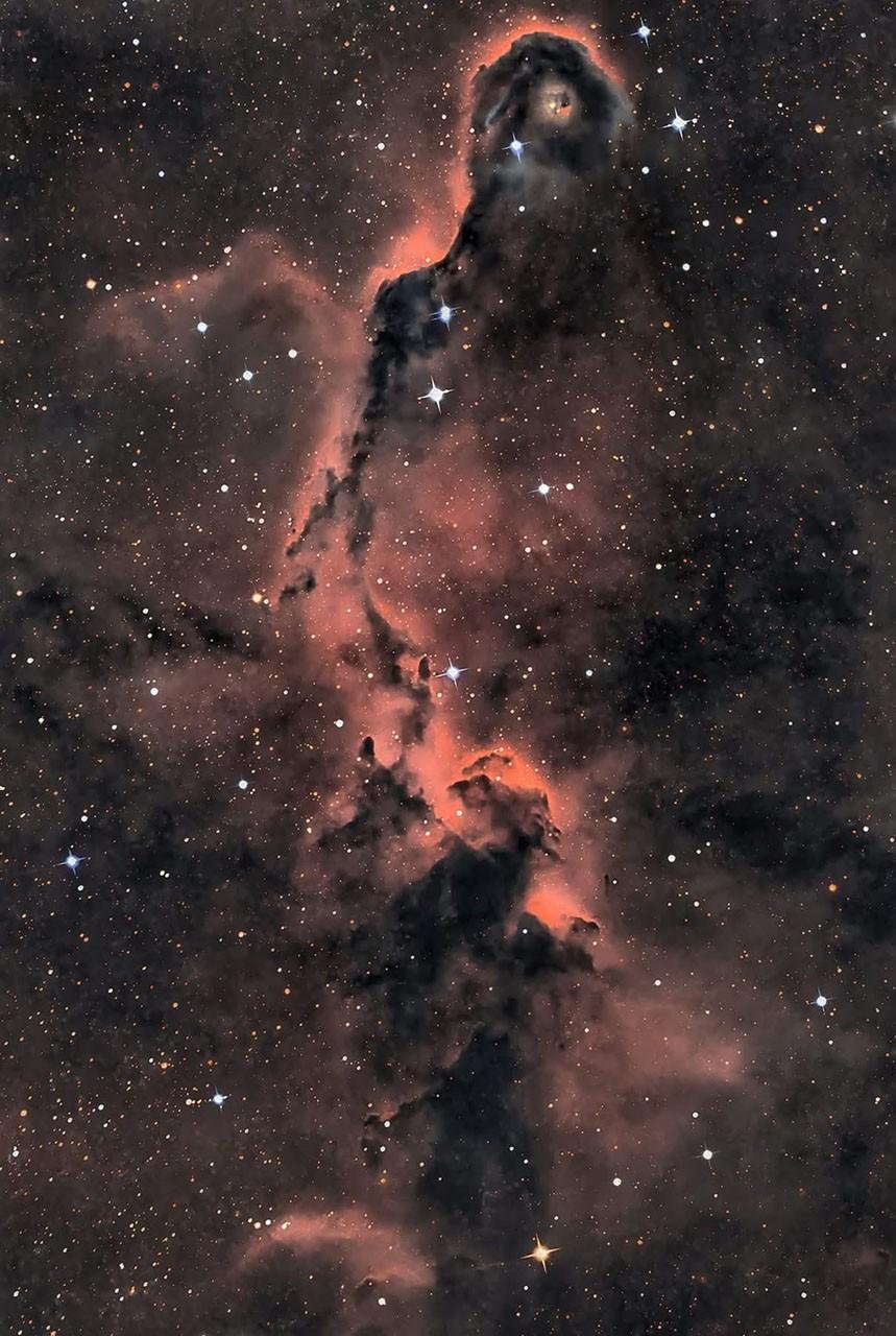 APOD: 2026 August 20 – The Ele...