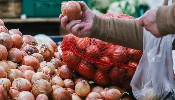 نقيب الفلاحين يدعو التجار لمراعاة المواطنين وخفض الأسعار: اشتروا البصل بـ 5 جنيهات من المزارعين