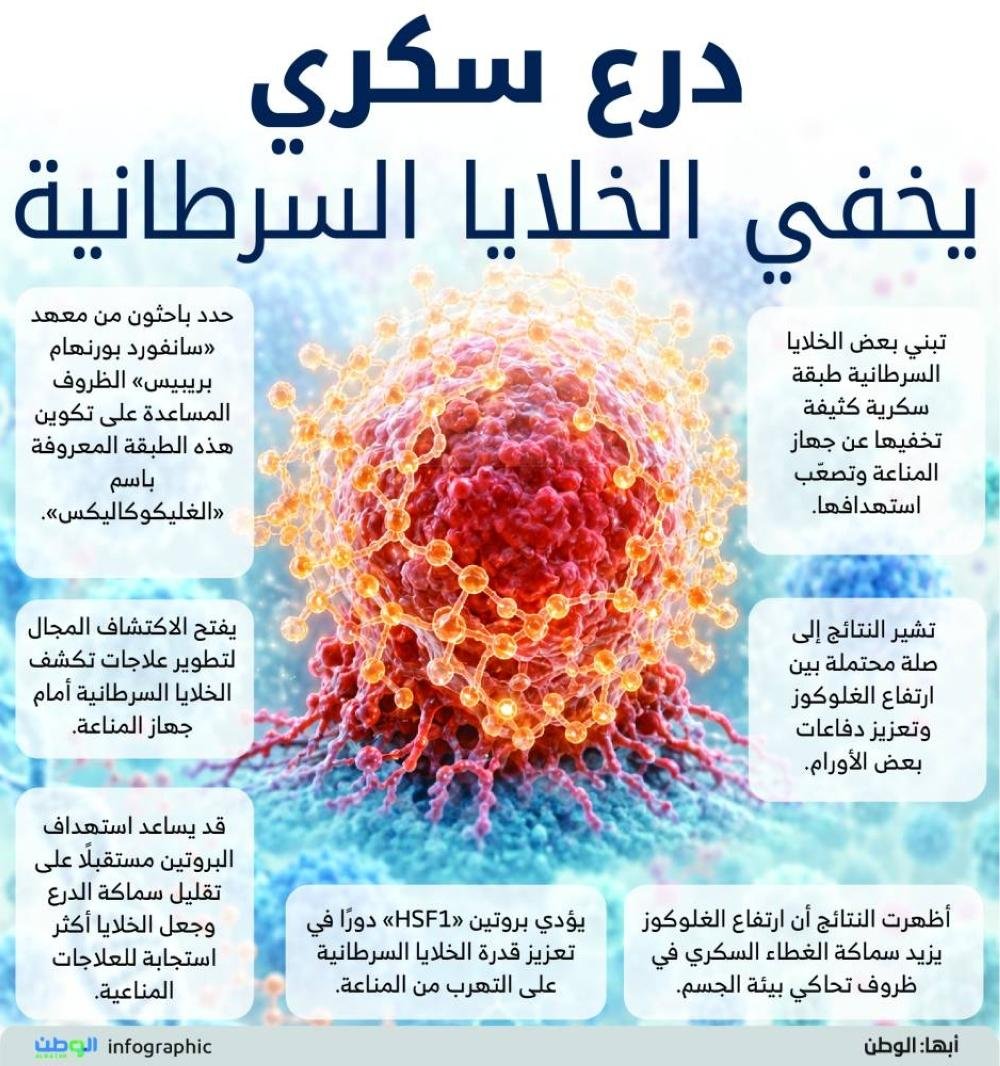 درع سكري يخفي الخلايا السرطاني...