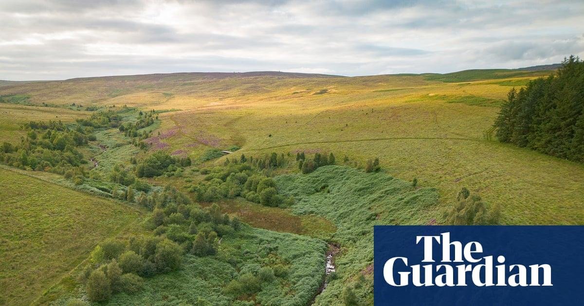 ‘Britain’s Yellowstone’: resto...