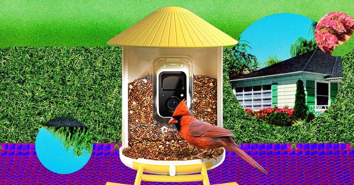 The Smart Bird Feeders Everyon...