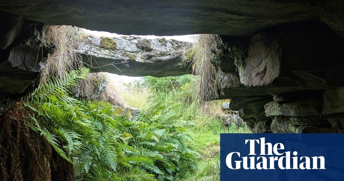 Country diary: A dreadful den...
