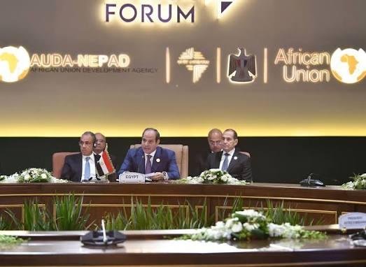 أستاذ علوم سياسية: مصر تدرك حجم المخاطر التي تواجه إفريقيا وتسعى للتنسيق بين دول القارة السمراء