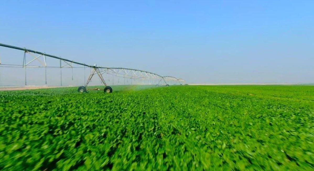 أجندة جهاز مستقبل مصر.. تعزيز الأمن الغذائي وزيادة الإنتاج المحلي على رأس الأولويات