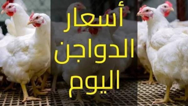 ارتفاع أسعار الدواجن 21% في أكتوبر 2026.. والتجار: تصحيح وسعر عادل بعد التراجعات الكبيرة