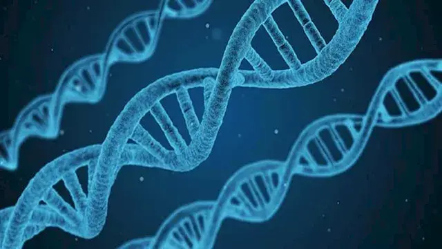 الصحة: فحص أكثر من 792 ألف مول...