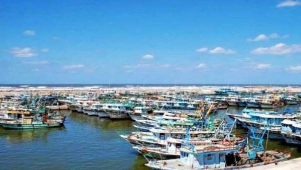 فتح ميناء الصيد البحري ببرج ال...