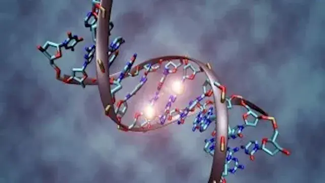 لماذا يختلف الإخوة عن بعضهم؟.....