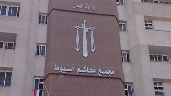اتمسك بـ«الشابو» والسلاح.. المشدد 9 سنوات وغرامة 100 ألف جنيه لعامل بأسيوط