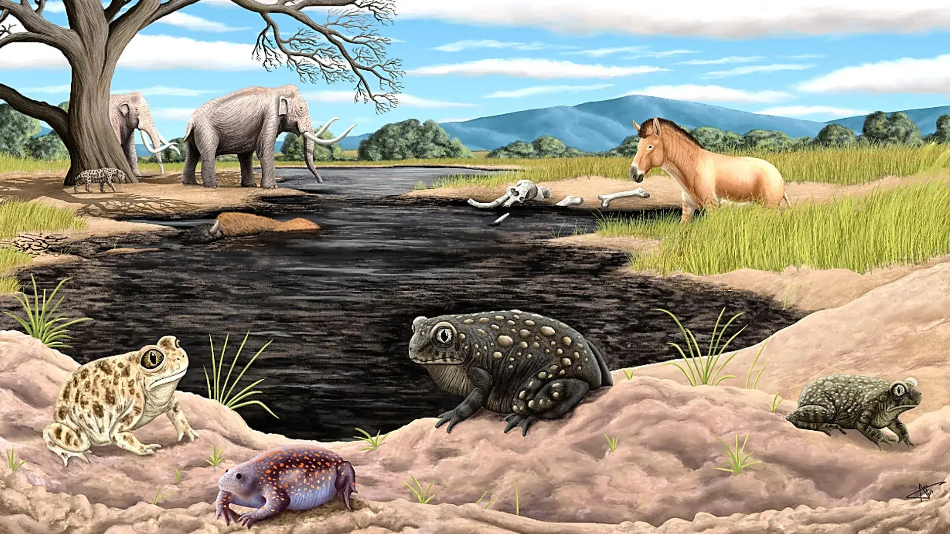 A new Ice Age species was hidi...