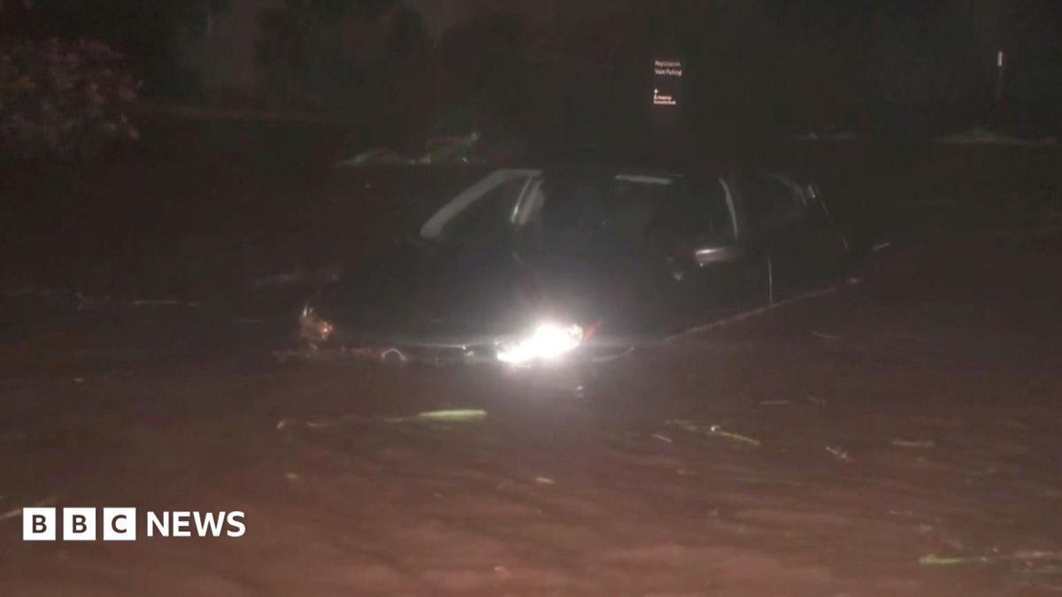 Watch: Downed trees and floodi...