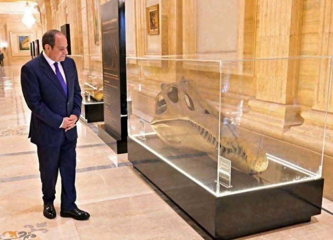 «جمجمة ديناصور».. حفرية عمرها 100 مليون سنة تتصدر مشهد مؤتمر مصر للتعدين