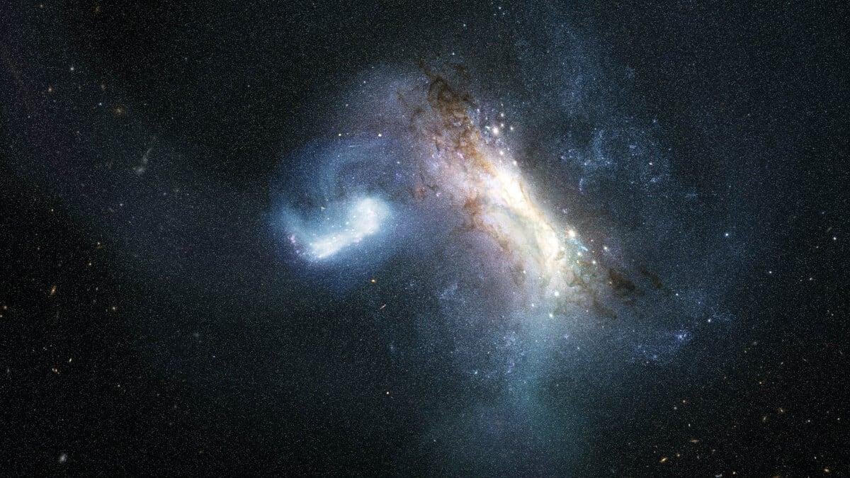 The Milky Ways center holds th...