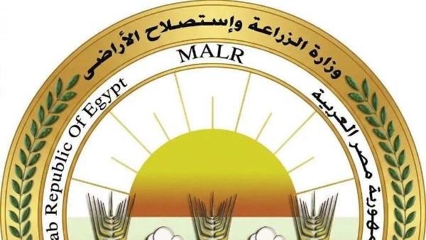 غدا.. بدء حملة موسعة لمكافحة القوارض عقب حصاد المحاصيل الصيفية بالمنيا