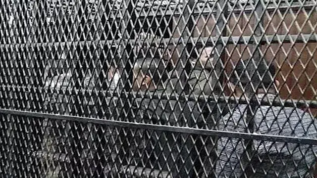 إحالة أوراق متهم بقتل طفلة في مركز الفتح بأسيوط إلى المفتي