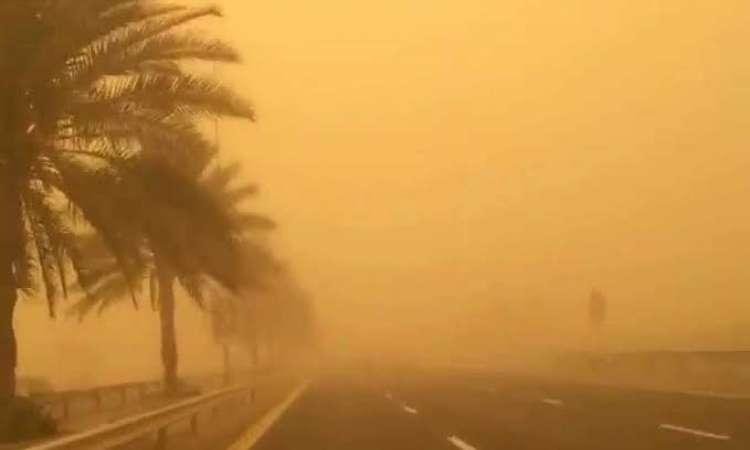 نيويورك تايمز تكشف حصيلة عاصفة...