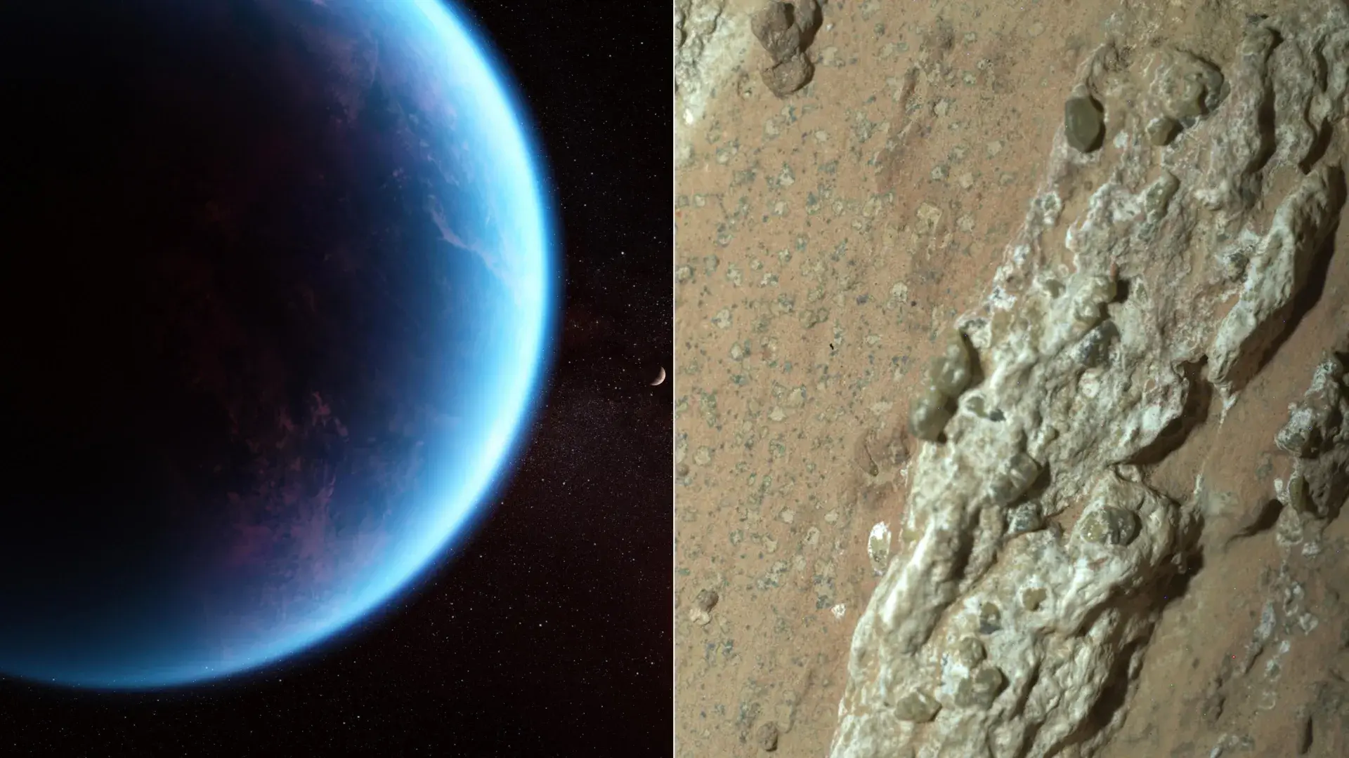Have we found alien life? Hund...