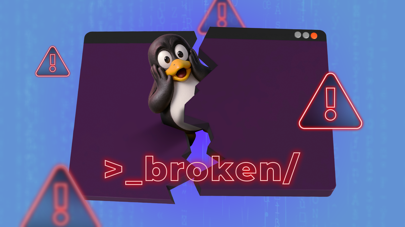 I ran the one command in Linux...