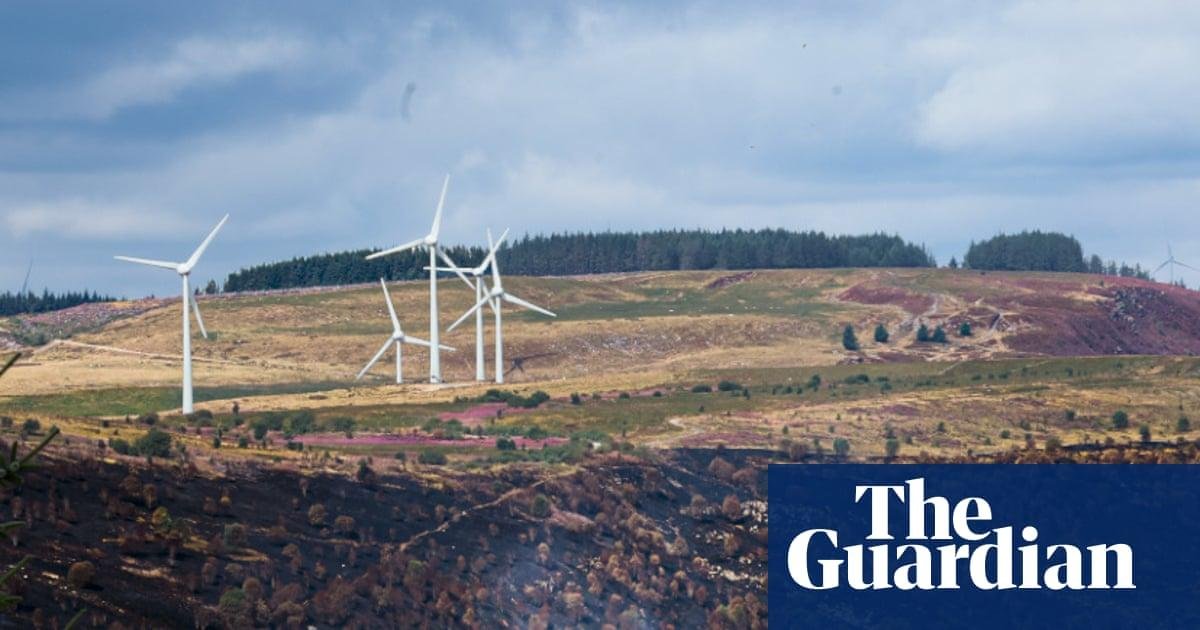 Country diary: South Wales’s s...