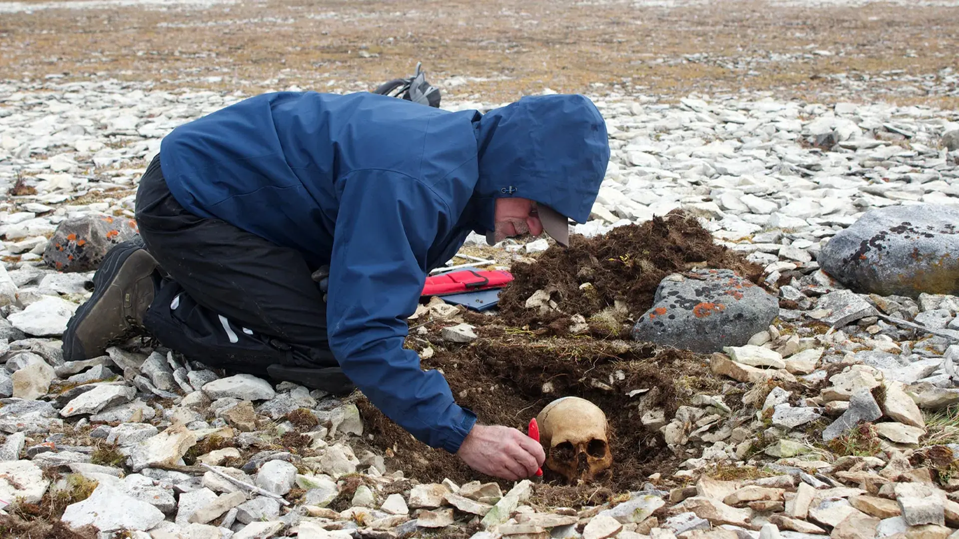 DNA solves the mystery of a bo...