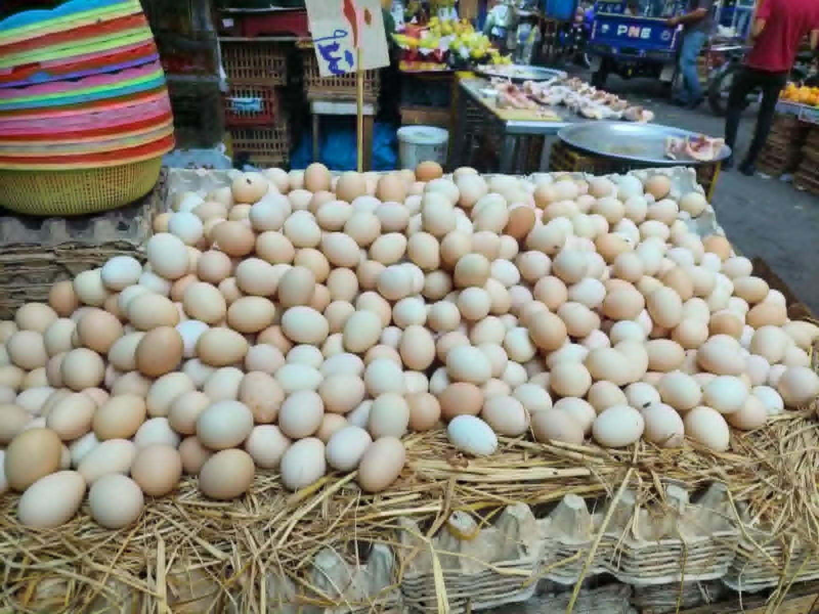 شعبة الدواجن: 115 جنيها السعر...