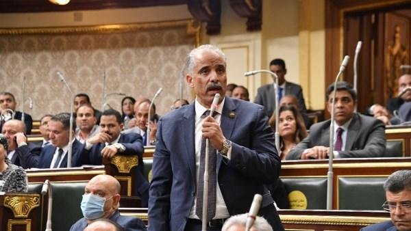 برلماني: حماية المواطنين من الكلاب الضالة مسؤولية لا تحتمل التأجيل