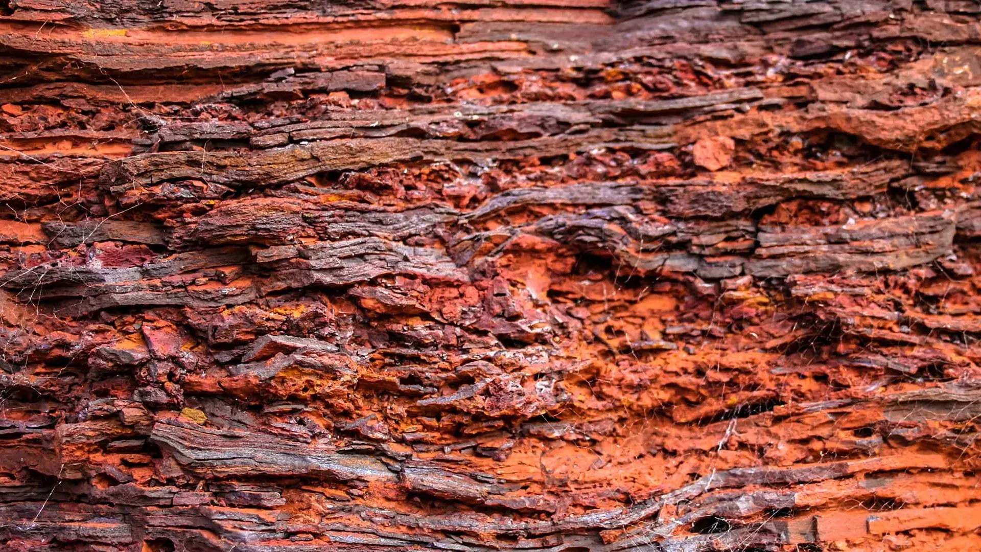Australia’s red soil may be hi...