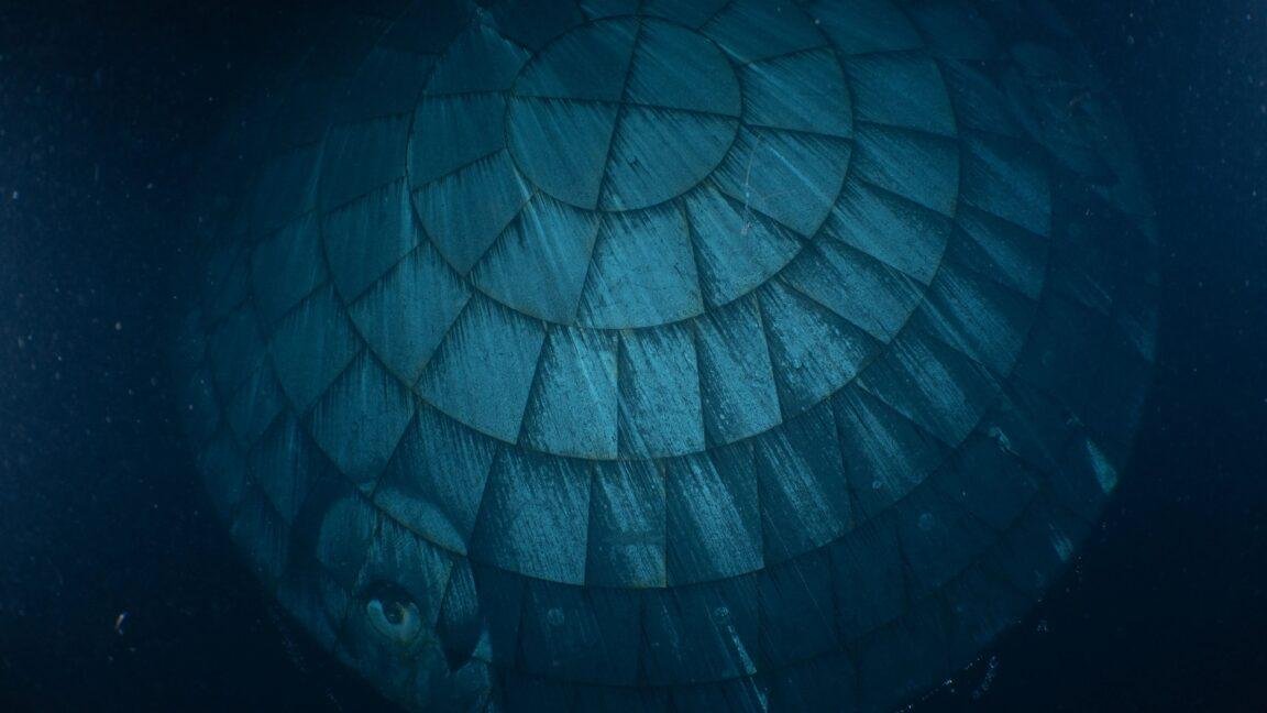 It turns out that Orion's much...
