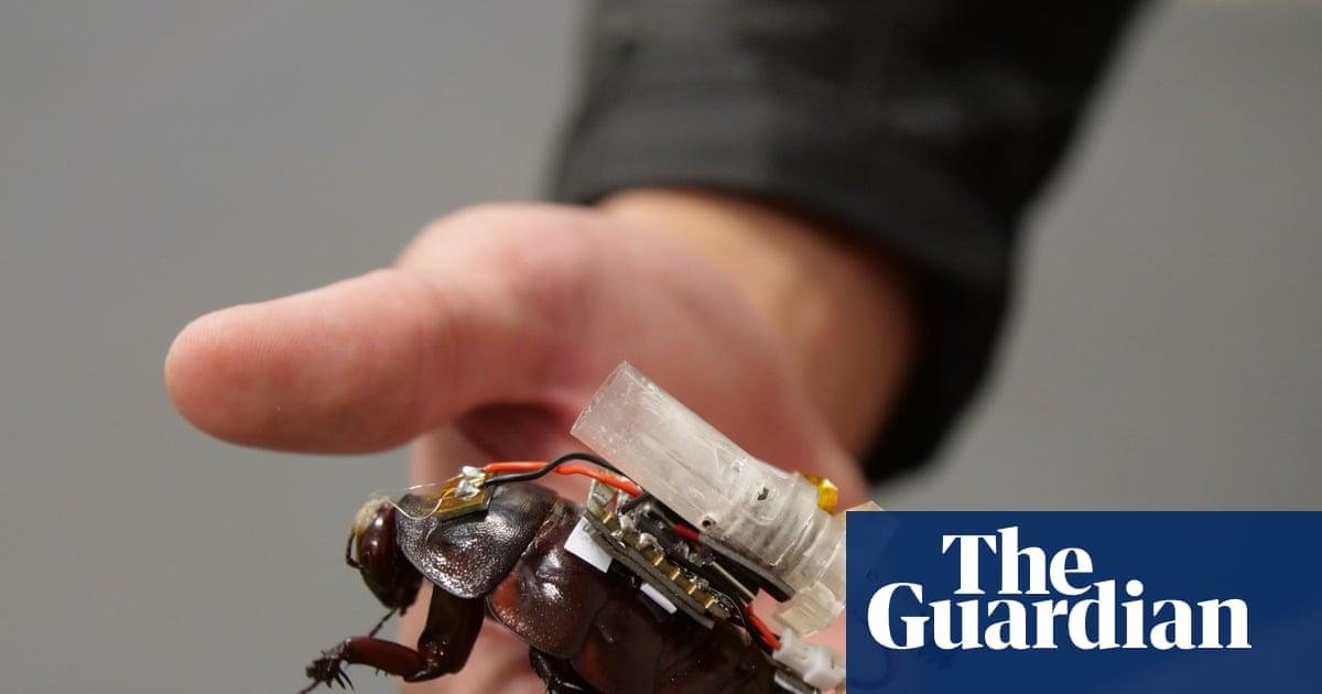 Cyborg cockroaches with tiny s...